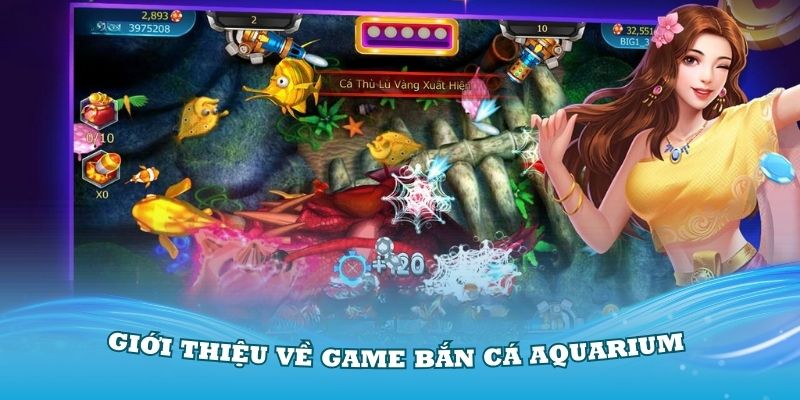 Giới thiệu về game bắn cá Aquarium hấp dẫn